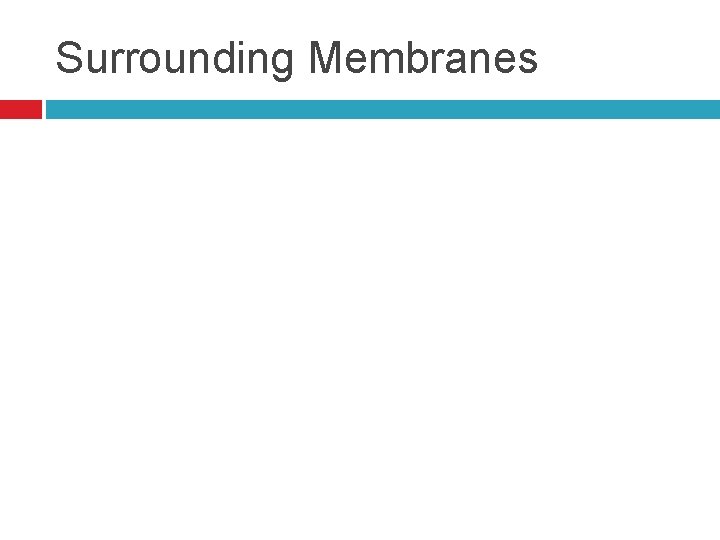 Surrounding Membranes 