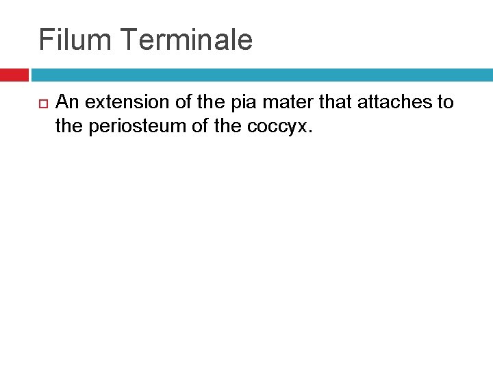 Filum Terminale An extension of the pia mater that attaches to the periosteum of