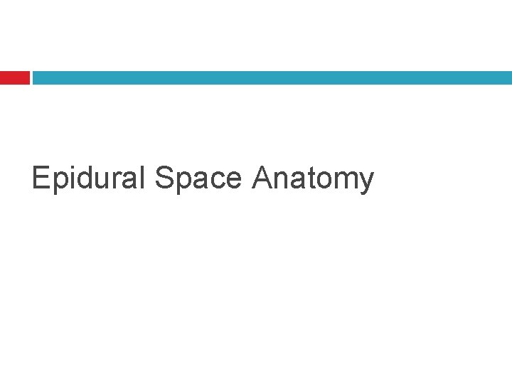 Epidural Space Anatomy 