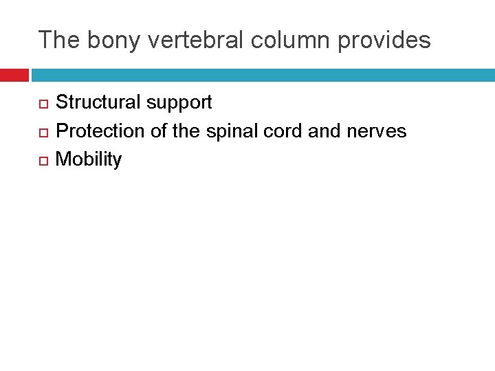 The bony vertebral column provides Structural support Protection of the spinal cord and nerves