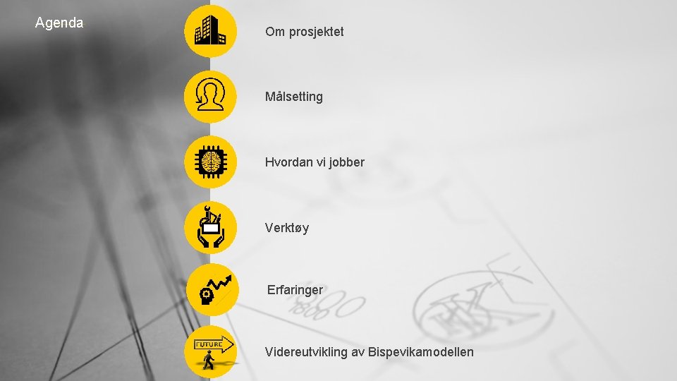 Agenda Om prosjektet Målsetting Hvordan vi jobber Verktøy Erfaringer Videreutvikling av Bispevikamodellen 
