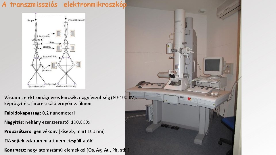 A transzmissziós elektronmikroszkóp Vákuum, elektromágneses lencsék, nagyfeszültség (80 -100 KV), képrögzítés: fluoreszkáló ernyőn v.