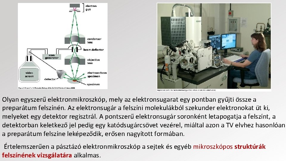 Olyan egyszerű elektronmikroszkóp, mely az elektronsugarat egy pontban gyűjti össze a preparátum felszínén. Az