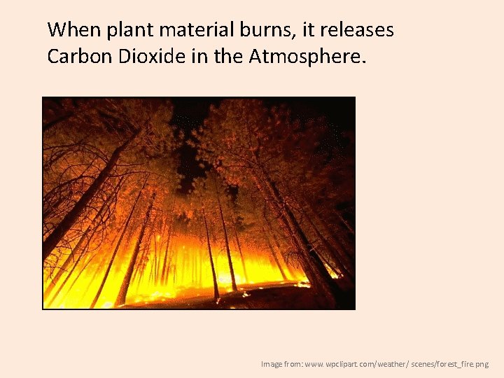 When plant material burns, it releases Carbon Dioxide in the Atmosphere. Image from: www.