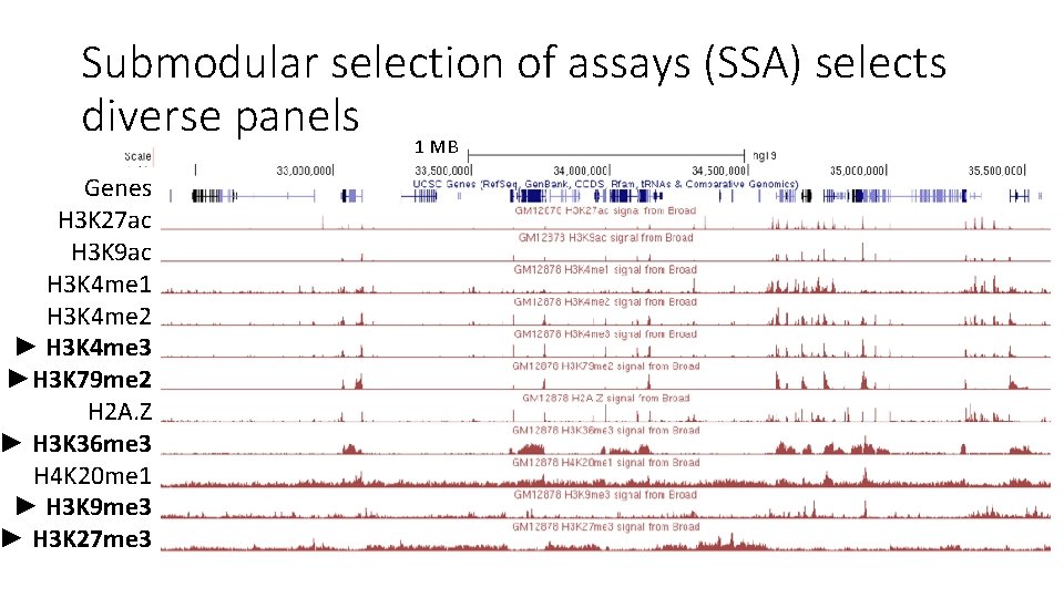 Submodular selection of assays (SSA) selects diverse panels 1 MB Genes H 3 K