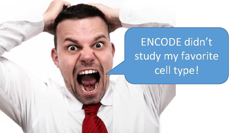 ENCODE didn’t study my favorite cell type! 