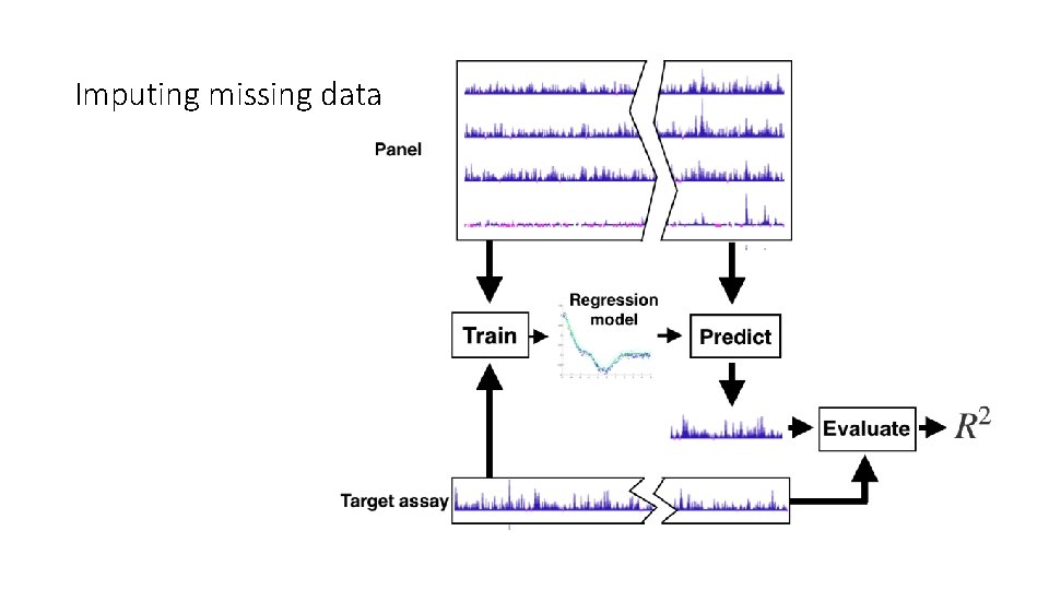 Imputing missing data 