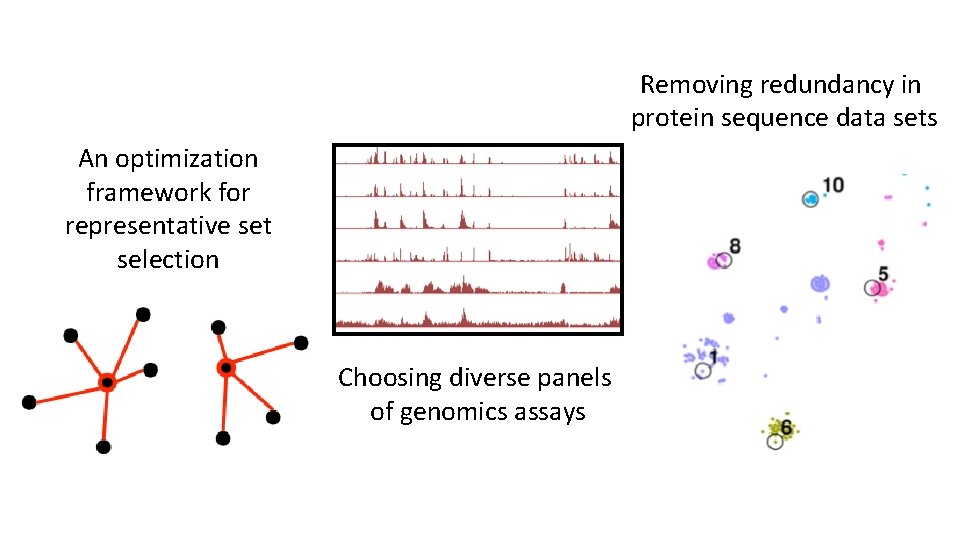 Removing redundancy in protein sequence data sets An optimization framework for representative set selection