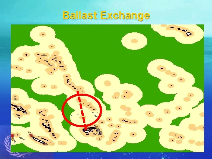 Ballast Exchange 