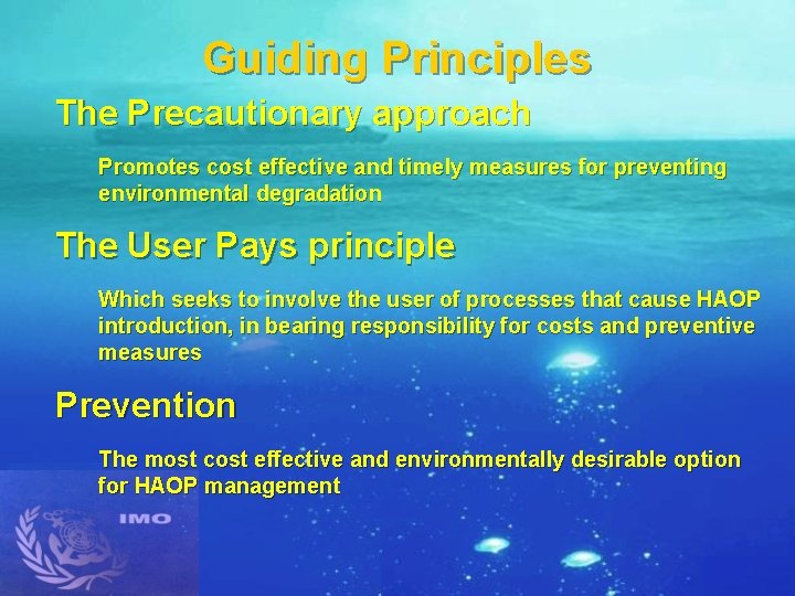 Guiding Principles The Precautionary approach Promotes cost effective and timely measures for preventing environmental