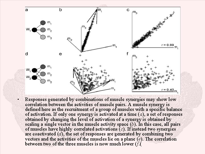  • Responses generated by combinations of muscle synergies may show low correlation between