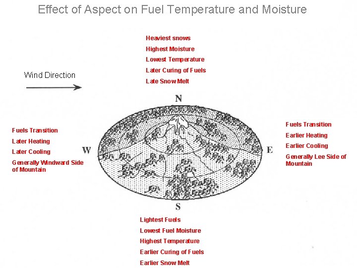 Effect of Aspect on Fuel Temperature and Moisture Heaviest snows Highest Moisture Lowest Temperature