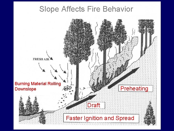 Slope Affects Fire Behavior Burning Material Rolling Downslope Preheating Draft Faster Ignition and Spread