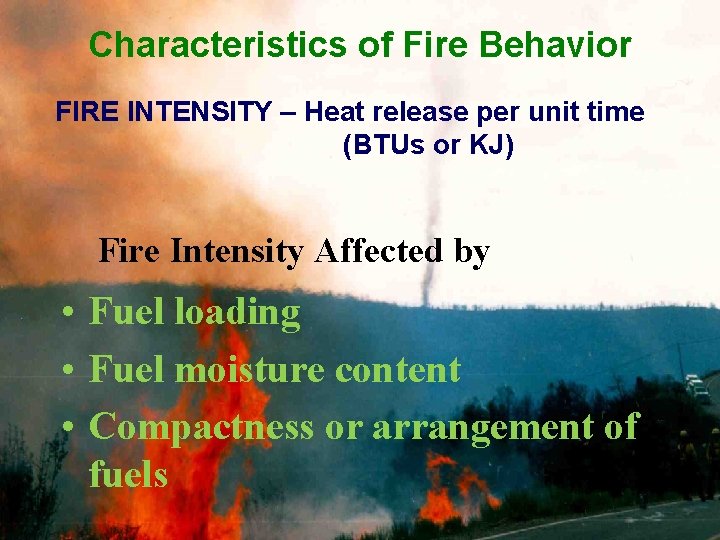 Characteristics of Fire Behavior FIRE INTENSITY – Heat release per unit time (BTUs or