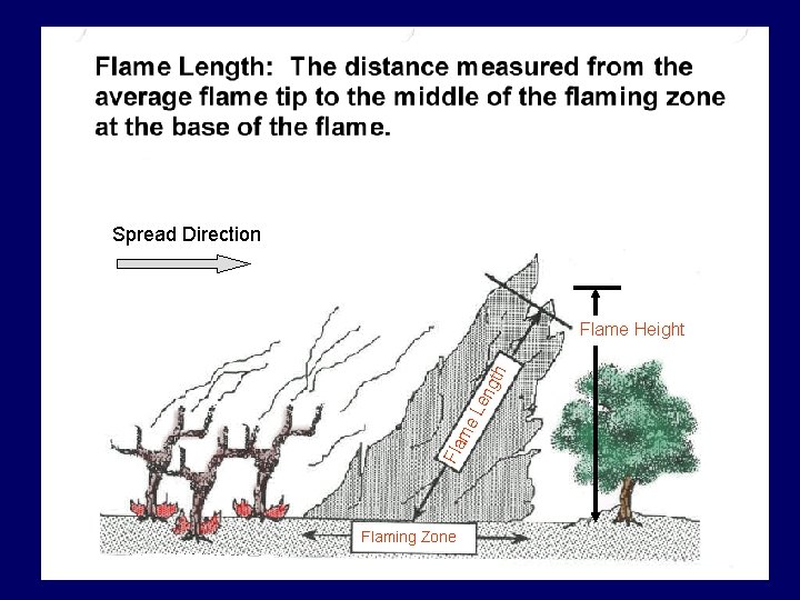 Spread Direction Fla me Le ng th Flame Height Flaming Zone 