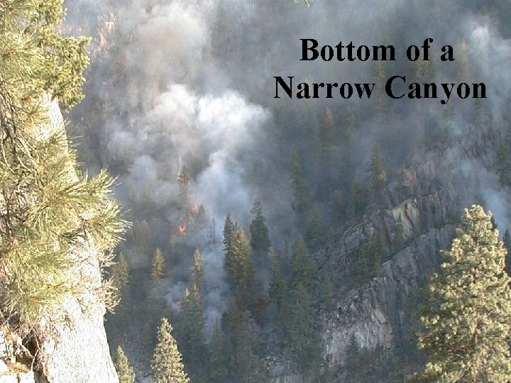 Bottom of a Narrow Canyon 