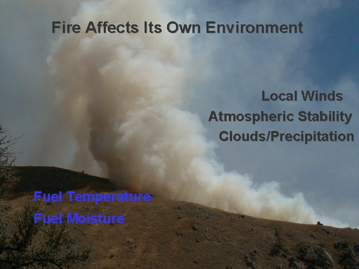 Fire Affects Its Own Environment Local Winds Atmospheric Stability Clouds/Precipitation Fuel Temperature Fuel Moisture