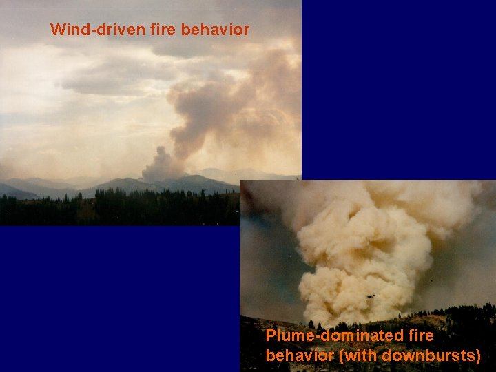 Wind-driven fire behavior Plume-dominated fire behavior (with downbursts) 