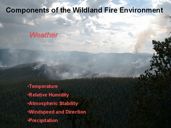 Components of the Wildland Fire Environment Weather • Temperature • Relative Humidity • Atmospheric