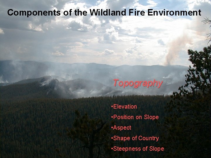 Components of the Wildland Fire Environment Topography • Elevation • Position on Slope •