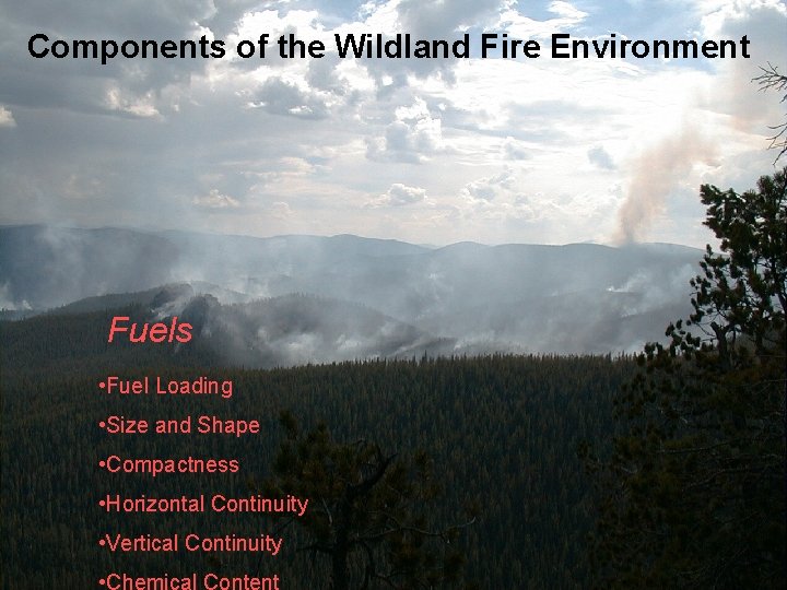 Components of the Wildland Fire Environment Fuels • Fuel Loading • Size and Shape