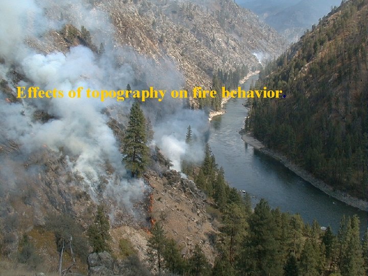 Effects of topography on fire behavior. 