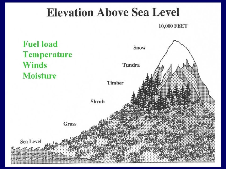 Fuel load Temperature Winds Moisture 