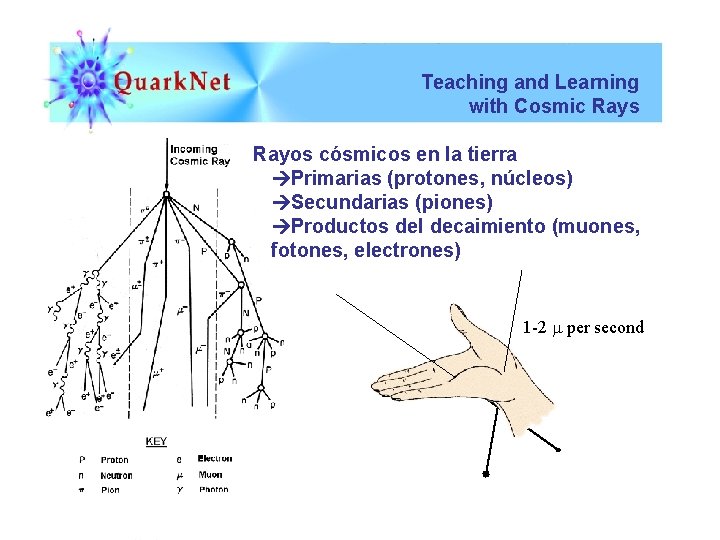 Teaching and Learning with Cosmic Rays Rayos cósmicos en la tierra Primarias (protones, núcleos)