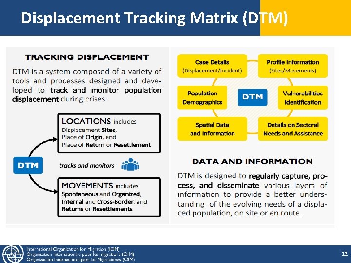 Displacement Tracking Matrix (DTM) 12 Displacement Tracking Matrix (DTM) 12