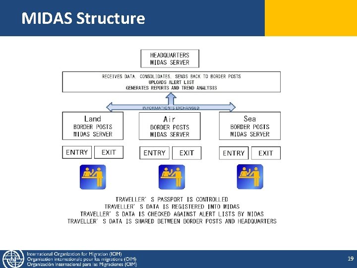 MIDAS Structure 19 MIDAS Structure 19