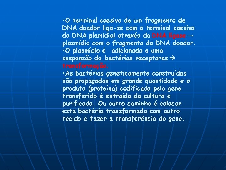 • O terminal coesivo de um fragmento de DNA doador liga-se com o