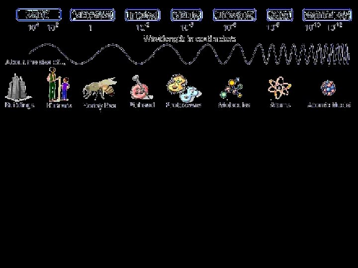 Electromagnetic Spectrum 