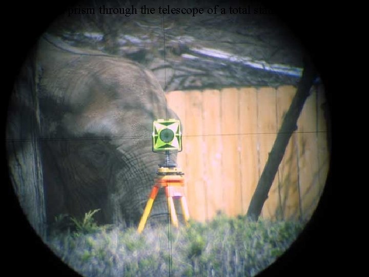 Aiming at a prism through the telescope of a total station in a zoo!