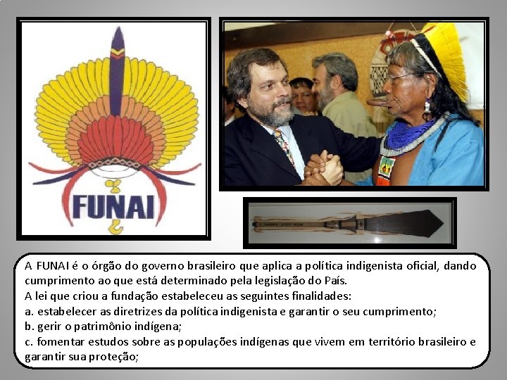 A FUNAI é o órgão do governo brasileiro que aplica a política indigenista oficial,