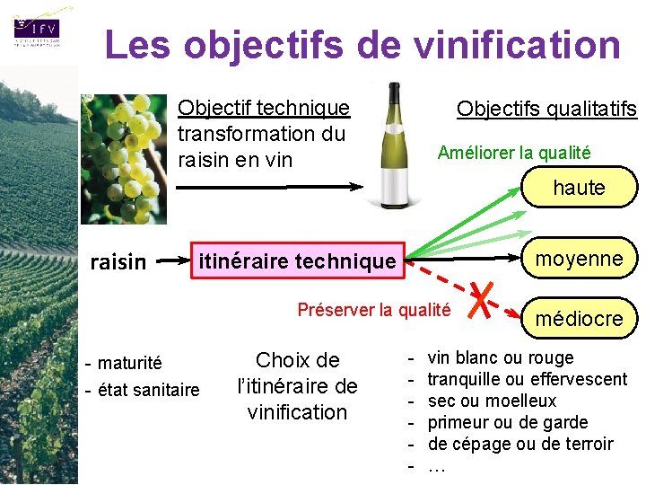 Les objectifs de vinification Objectif technique : transformation du raisin en vin Objectifs qualitatifs