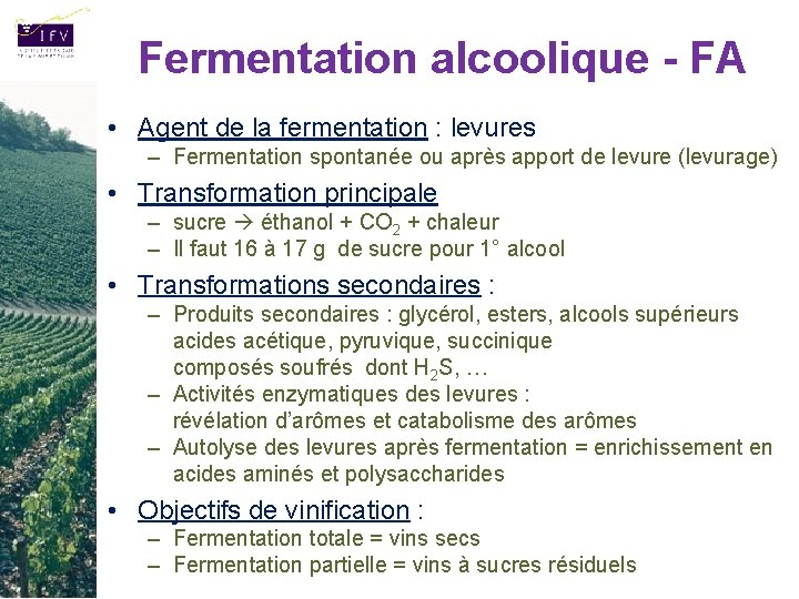 Fermentation alcoolique - FA • Agent de la fermentation : levures – Fermentation spontanée