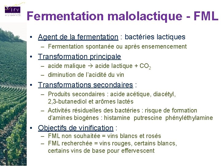 Fermentation malolactique - FML • Agent de la fermentation : bactéries lactiques – Fermentation