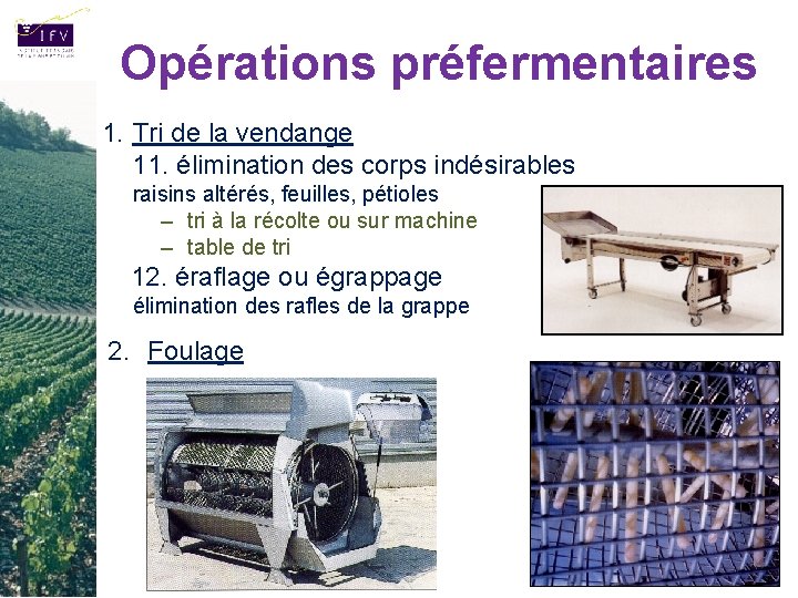 Opérations préfermentaires 1. Tri de la vendange 11. élimination des corps indésirables raisins altérés,