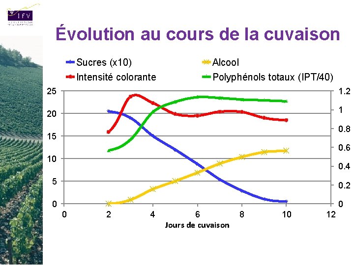 Évolution au cours de la cuvaison Sucres (x 10) Alcool Intensité colorante Polyphénols totaux
