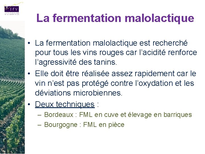 La fermentation malolactique • La fermentation malolactique est recherché pour tous les vins rouges