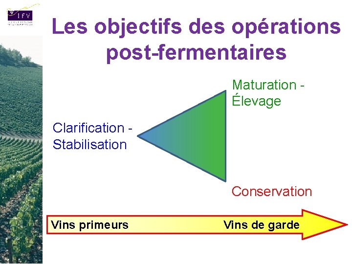 Les objectifs des opérations post-fermentaires Maturation - Élevage Clarification - Stabilisation Conservation Vins primeurs