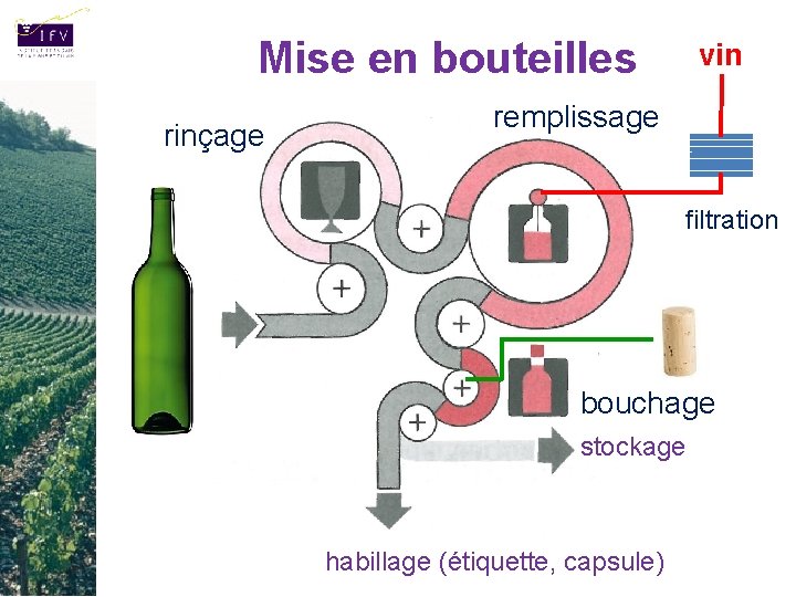 Mise en bouteilles rinçage vin remplissage filtration bouchage stockage habillage (étiquette, capsule) 