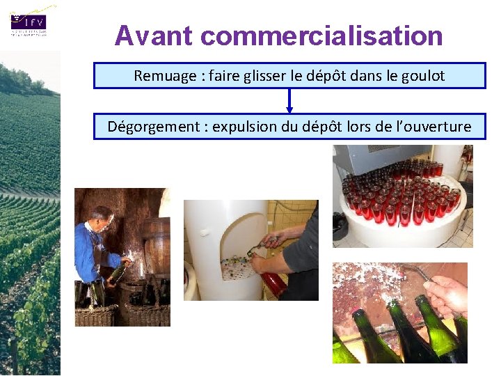 Avant commercialisation Remuage : faire glisser le dépôt dans le goulot Dégorgement : expulsion