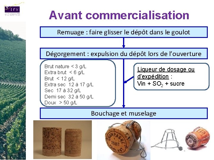 Avant commercialisation Remuage : faire glisser le dépôt dans le goulot Dégorgement : expulsion