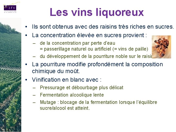 Les vins liquoreux • Ils sont obtenus avec des raisins très riches en sucres.