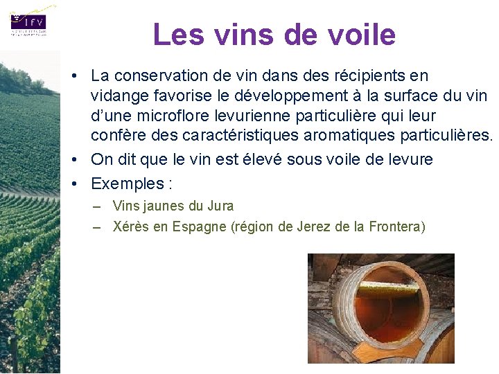 Les vins de voile • La conservation de vin dans des récipients en vidange