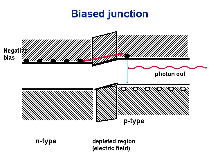 Biased junction Negative bias photon out p-type n-type depleted region (electric field) 