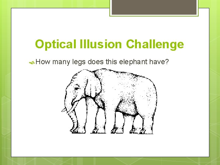 Optical Illusion Challenge How many legs does this elephant have? 