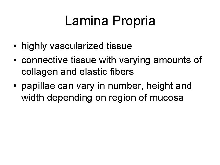 Lamina Propria • highly vascularized tissue • connective tissue with varying amounts of collagen