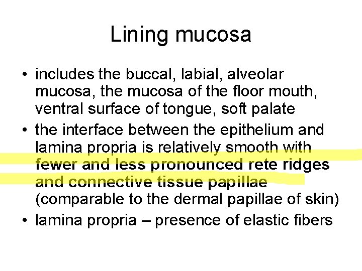 Lining mucosa • includes the buccal, labial, alveolar mucosa, the mucosa of the floor